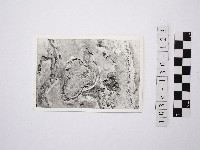 野柳地形藏品圖，第1張