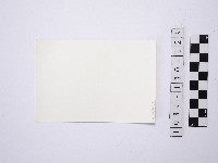 野柳地形藏品圖，第2張