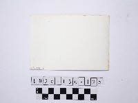 野柳地形藏品圖，第2張