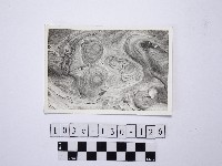 野柳地形藏品圖，第1張