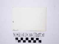 野柳地形藏品圖，第2張