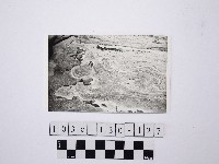 野柳地形藏品圖，第1張