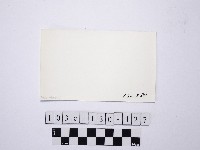 野柳地形藏品圖，第2張