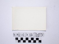 野柳地形藏品圖，第2張