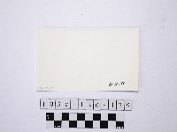 野柳地形藏品圖，第2張