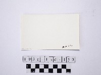 野柳地形藏品圖，第2張