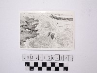 野柳地形藏品圖，第1張