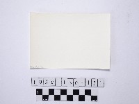 野柳地形藏品圖，第2張