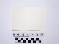 野柳地形藏品圖，第2張