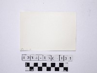 野柳地形藏品圖，第2張