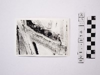 野柳地形藏品圖，第1張