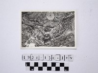 野柳地形藏品圖，第1張