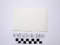 野柳地形藏品圖，第2張