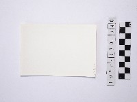 野柳地形藏品圖，第2張