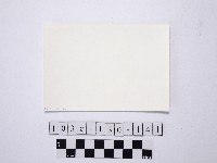 野柳地形藏品圖，第2張