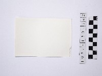 野柳地形藏品圖，第2張