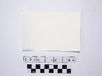 燭臺石藏品圖，第2張