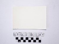 野柳地形藏品圖，第2張