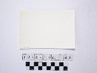 蜂窩岩藏品圖，第2張