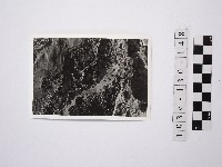 野柳地形藏品圖，第1張