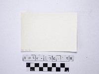 野柳地形藏品圖，第2張