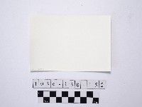 野柳地形藏品圖，第2張