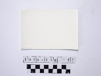 野柳地形藏品圖，第2張