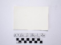 野柳地形藏品圖，第2張