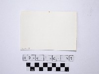 野柳地形藏品圖，第2張