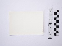 野柳地形藏品圖，第2張