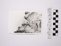 野柳地形藏品圖，第1張