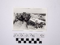 野柳地形藏品圖，第1張