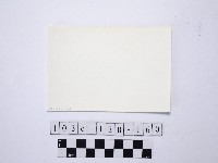 野柳地形藏品圖，第2張