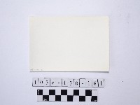 野柳地形藏品圖，第2張