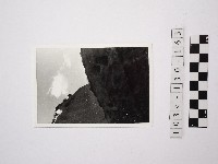 野柳地形藏品圖，第1張