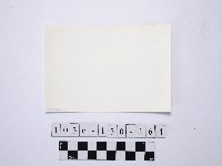 野柳地形藏品圖，第2張