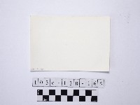 野柳地形藏品圖，第2張