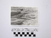 野柳地形藏品圖，第1張