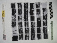 黃則修攝影作品之士林塔塔悠藏品圖，第2張