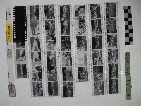 黃則修攝影作品之曹洞宗別院及東方禪寺藏品圖，第1張