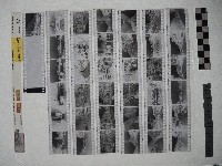 黃則修攝影作品之臺北街景藏品圖，第1張