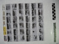 黃則修攝影作品之臺北街景藏品圖，第1張