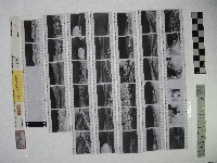 黃則修攝影作品之臺北街景藏品圖，第1張