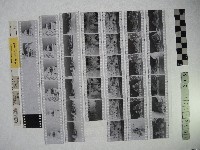 黃則修攝影作品之臺北街景藏品圖，第2張