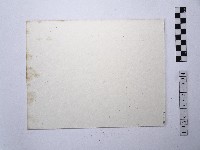 漁港藏品圖，第2張