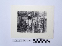 漁網藏品圖，第1張