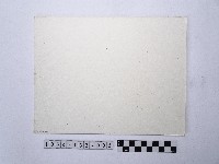 漁網藏品圖，第2張