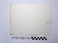 磚牆藏品圖，第2張