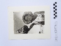 漁夫藏品圖，第1張