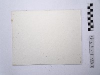 漁夫藏品圖，第2張